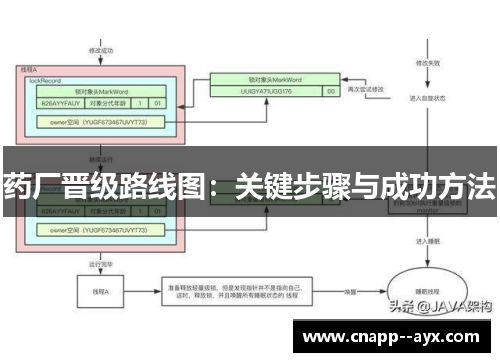 药厂晋级路线图：关键步骤与成功方法