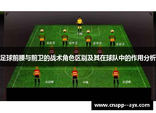 足球前腰与前卫的战术角色区别及其在球队中的作用分析