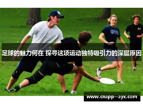 足球的魅力何在 探寻这项运动独特吸引力的深层原因