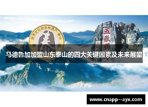 马德鲁加加盟山东泰山的四大关键因素及未来展望