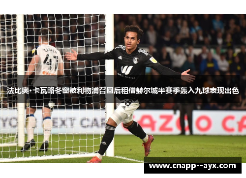 法比奥·卡瓦略冬窗被利物浦召回后租借赫尔城半赛季轰入九球表现出色