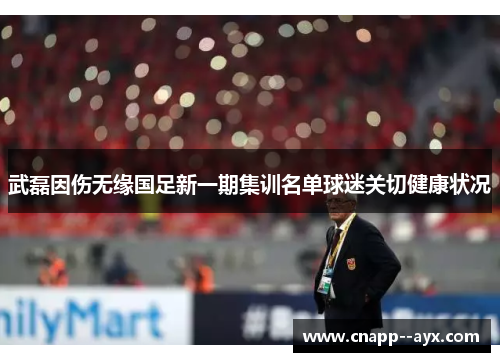 武磊因伤无缘国足新一期集训名单球迷关切健康状况