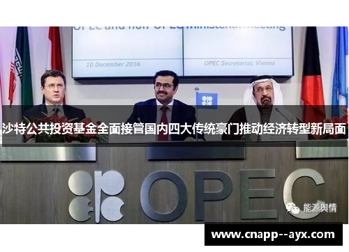 沙特公共投资基金全面接管国内四大传统豪门推动经济转型新局面